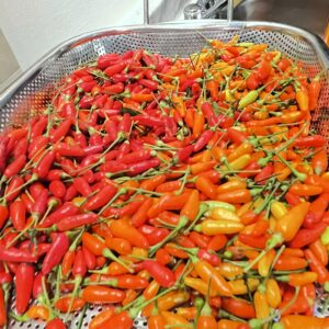 Original Med Spice Hawaiian ChiliCrack